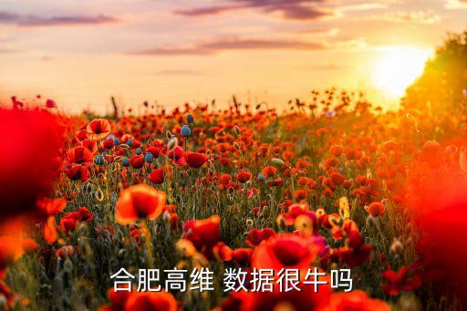 安徽省大數(shù)據(jù)產(chǎn)業(yè)聯(lián)盟,中國(guó)大數(shù)據(jù)生態(tài)產(chǎn)業(yè)聯(lián)盟CDA