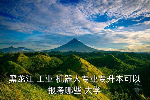 工業(yè)機器人大學(xué)