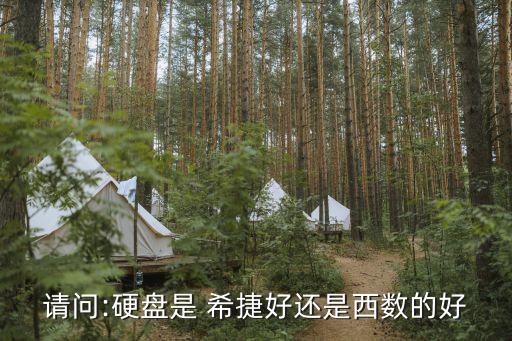 請(qǐng)問(wèn):硬盤是 希捷好還是西數(shù)的好