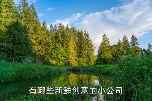 創(chuàng)新型企業(yè)，簡述企業(yè)的發(fā)展模式為什么回想創(chuàng)新型企業(yè)發(fā)展