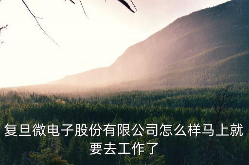 復(fù)旦微，復(fù)旦微電子科學(xué)與工程提前批c好嗎