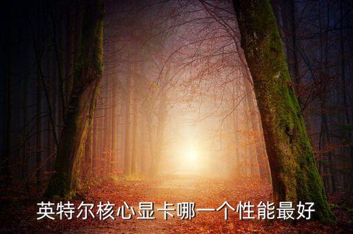 最強核顯，現(xiàn)在什么處理器自帶的核顯最強