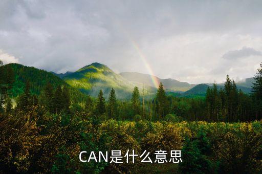can是什么，can是什么意思
