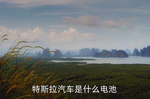 特斯拉的電池，tesla model s是什么電池