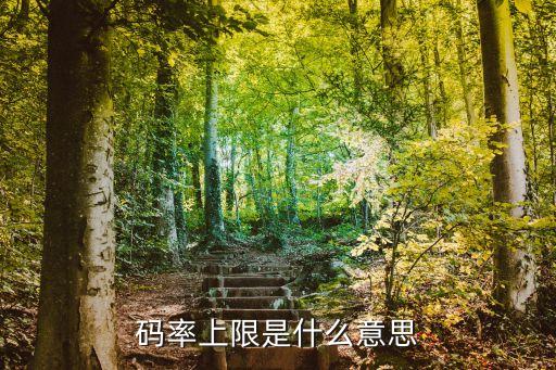 碼率是什么意思，什么是碼率
