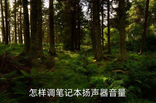 揚聲器音量，怎么加大揚聲器音量