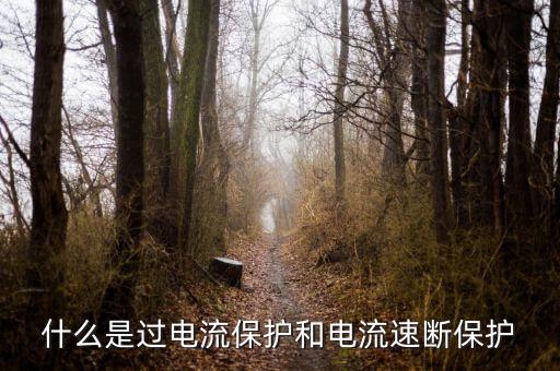 電流速斷保護(hù)，什么是過(guò)電流保護(hù)和電流速斷保護(hù)