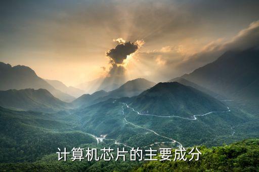 計(jì)算機(jī)芯片的主要成分
