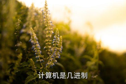 二進(jìn)制計(jì)算機(jī)，計(jì)算機(jī)二進(jìn)制