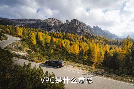 VPG是什么意思