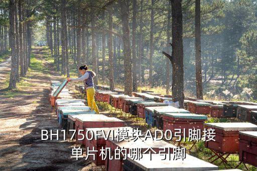 bh1750，哪位好心人能給我 亮度傳感器 BH1750FVI 的資料啊要具體的這里
