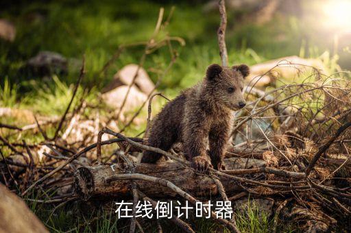 在線秒表，網(wǎng)絡(luò)計時器