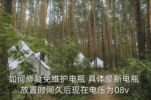 如何修復(fù)免維護(hù)電瓶 具體是新電瓶 放置時(shí)間久后現(xiàn)在電壓為08v