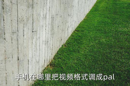 手機在哪里把視頻格式調(diào)成pal