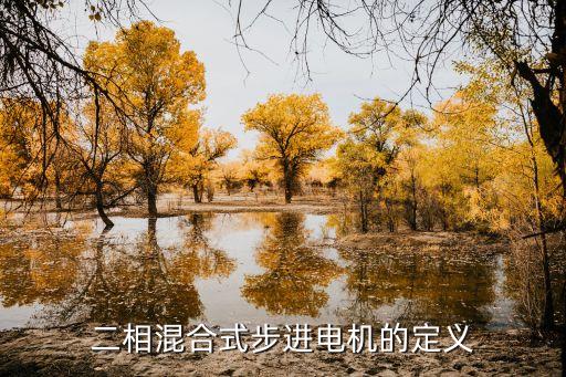 混合式步進電機，急求混合式步進電機的工作原理