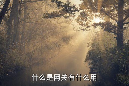 網(wǎng)關設備，通常使用哪些設備作為計算機的默認網(wǎng)關