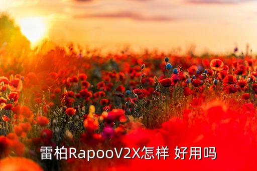 雷柏RapooV2X怎樣 好用嗎