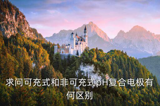 PH復(fù)合電極，測水樣的pH 值時所用的復(fù)合電極包括