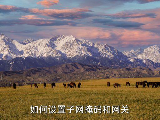 網(wǎng)關(guān)怎么設(shè)置，如何在路由器里設(shè)置好網(wǎng)關(guān)DNS電腦自動(dòng)獲取IP