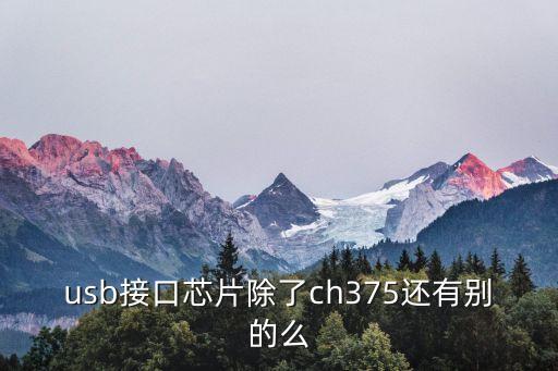usb芯片，USB控制芯片在那里 是什么樣子的
