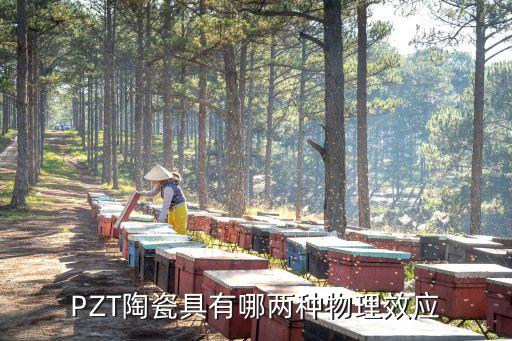 PZT，PZT陶瓷具有哪兩種物理效應(yīng)