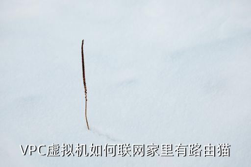 VPC虛擬機如何聯(lián)網家里有路由貓
