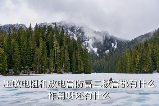 放電管，兩極氣體放電管和三極氣體放電管有何區(qū)別