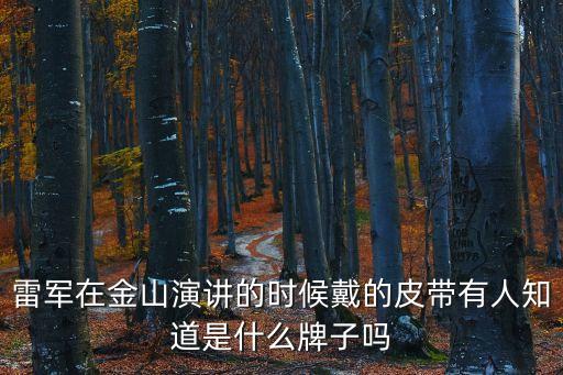 雷軍在金山演講的時候戴的皮帶有人知道是什么牌子嗎