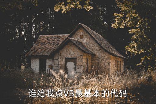 誰(shuí)給我點(diǎn)VB最基本的代碼