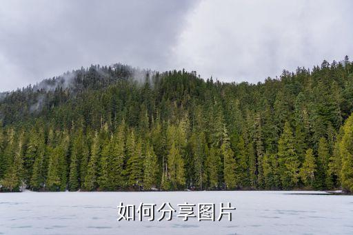 分享照片，如何分享圖片