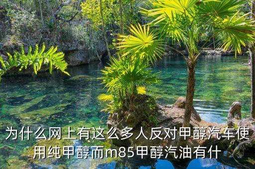 為什么網(wǎng)上有這么多人反對(duì)甲醇汽車使用純甲醇而m85甲醇汽油有什