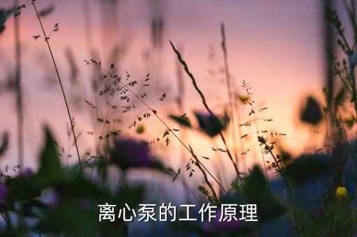 離心泵結構圖，離心泵的工作原理