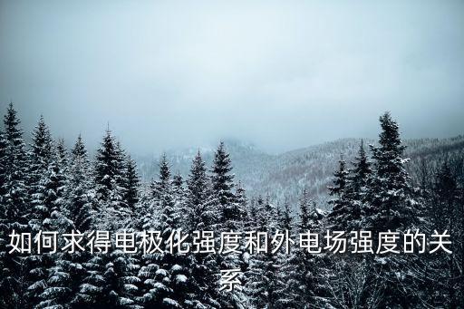 電極化，什么是電極極化