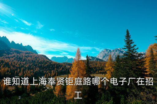 集邦電子，遠(yuǎn)程電子廠
