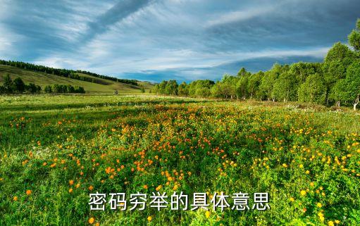 窮舉，密碼窮舉的具體意思