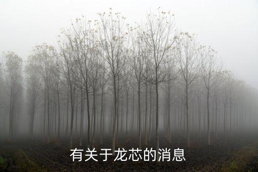 龍芯最新消息，有關(guān)于龍芯的消息