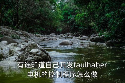 有誰知道自己開發(fā)faulhaber電機的控制程序怎么做