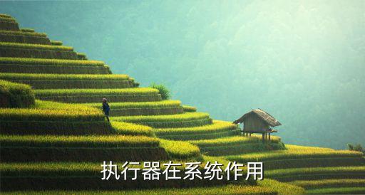 執(zhí)行器，執(zhí)行器干什么用的