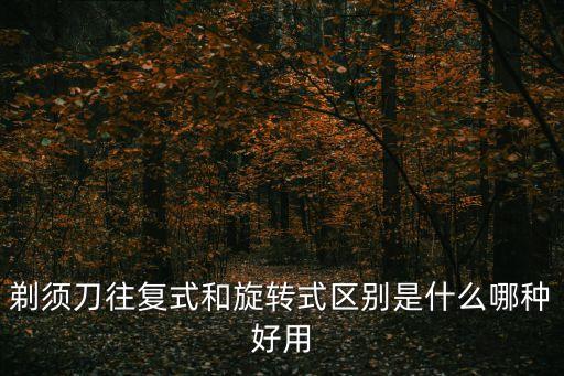 往復(fù)式，剃須刀往復(fù)式和旋轉(zhuǎn)式區(qū)別是什么哪種好用