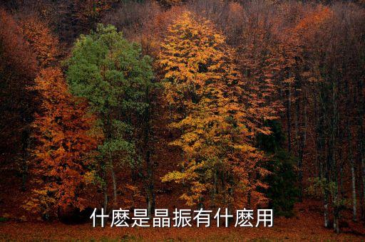 晶振是什么，簡(jiǎn)單用一句話介紹 晶振 是什么