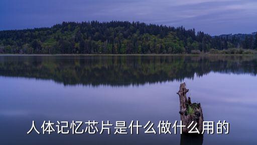 記憶芯片，人體記憶芯片是什么做什么用的