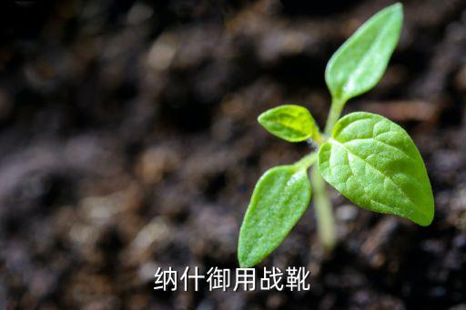 zomm，納什御用戰(zhàn)靴