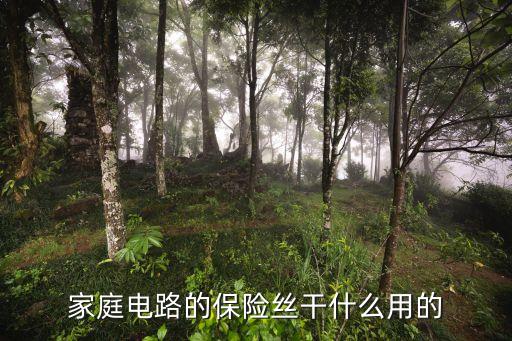 家庭電路的保險絲干什么用的