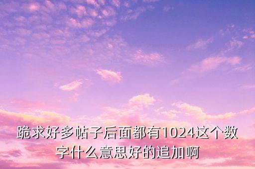 1024是什么，1024是什么意思