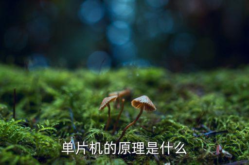 單片機(jī)的原理是什么