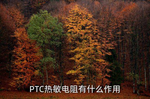 PTC熱敏電阻，PTC熱敏電阻的應(yīng)用功能有哪些求詳解