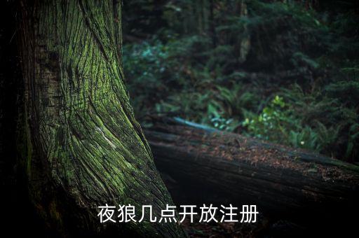 夜狼社區(qū)，夜狼黑客安全技術(shù)論壇怎么樣