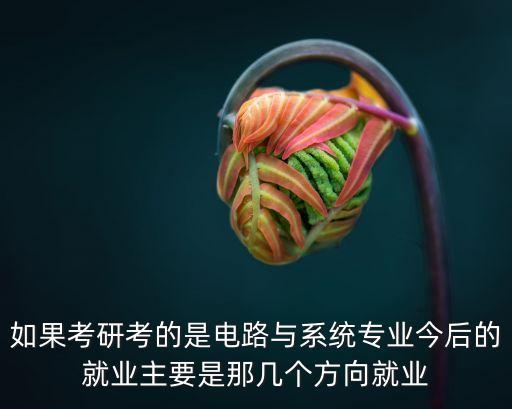 電路系統(tǒng)，橋式電路系統(tǒng)的電流流向是怎么樣的