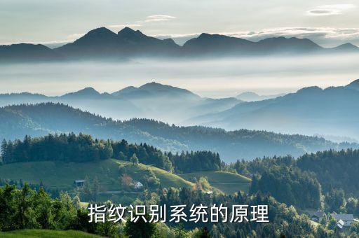 指紋識別系統(tǒng)的原理