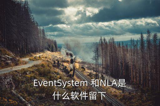 nla，Network Location Awareness NLA服務(wù)